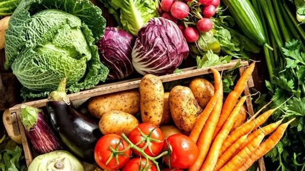 أسعار الفواكه والخضروات في الغربية اليوم، الأربعاء 9 يوليو 2025 أسعار الفواكه والخضروات في الغربية اليوم، الأربعاء 9 يوليو 2025