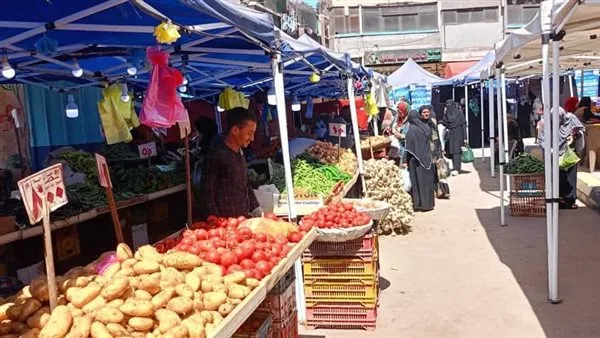 محافظ الغربية يطلق “سوق اليوم الواحد” في مدينة زفتى محافظ الغربية يطلق “سوق اليوم الواحد” في مدينة زفتى