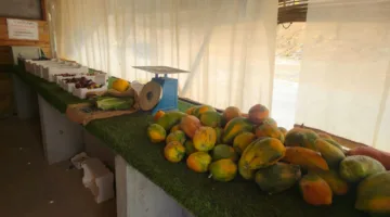 “أنت البائع والمشتري”: نحو مسؤولية الفرد تجاه الآخرين
