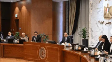 الحكومة تُوكِل صندوق مصر السيادي بدراسة نقل ملكية 15 مبنى غير مُستخدم بهدف استغلالها.
