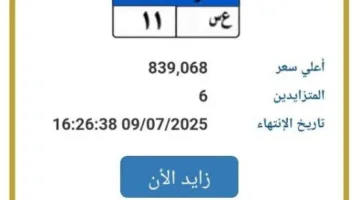 وصلت إلى ما يقارب المليون جنيه… مزاد مثير على لوحة سيارة فريدة