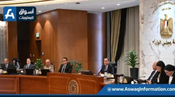 مجلس الوزراء يُنيب “صندوق مصر السيادي” لعرض المباني الفارغة على المستثمرين