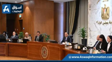 مجلس الوزراء يخصص 6 قطع أرض لمشروع “مستقبل مصر”