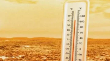 توقعات الطقس ليوم الأربعاء 9 يوليو في المحافظات.. زيادة في مستويات الرطوبة