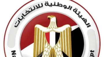 الهيئة الوطنية للانتخابات تعلن قواعد اقتراع المغتربين وضوابط الحملات الانتخابية في انتخابات مجلس الشيوخ