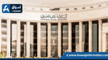عاجل | البنك المركزي: انخفاض معدل التضخم الأساسي إلى 11.4% في يونيو الفائت