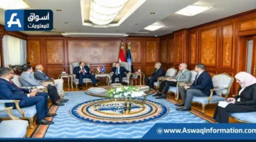 أسامة ربيع يلتقي بالخط الملاحى التركى لبحث زيادة عدد الرحلات عبر قناة السويس
