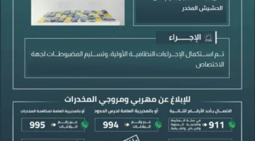 حرس الحدود في جازان ينجح في التصدي لتهريب 49.7 كيلوغرامًا من الحشيش المخدر