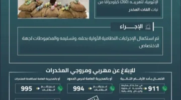 حرس الحدود في جازان يعتقل شخصًا مخالفًا لنظام أمن الحدود بتهمة تهريب (260) كيلوغرامًا من نبات القات المخدر.