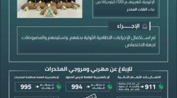 حرس الحدود في عسير يعتقل 6 أشخاص مخالفين لنظام الأمن الحدود بسبب تهريب 120 كيلوغرامًا من نبتة القات المخدرة.