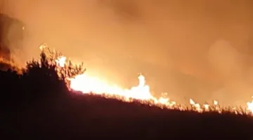 سحب دخانية كثيفة تغطي مساحات شاسعة من سهل البقاع… حريق هائل يلتهم الغابات!