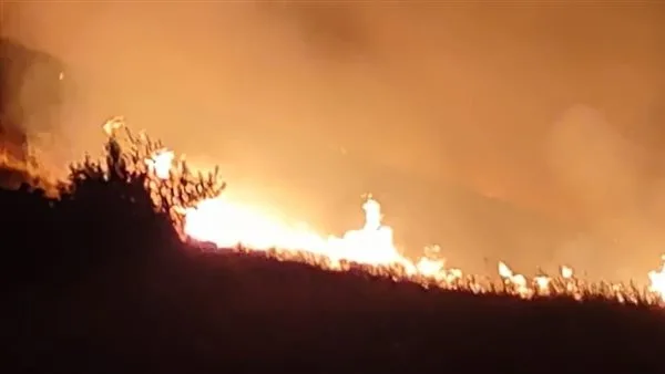 سحب دخانية كثيفة تغطي مساحات شاسعة من سهل البقاع… حريق هائل يلتهم الغابات! سحب دخانية كثيفة تغطي مساحات شاسعة من سهل البقاع… حريق هائل يلتهم الغابات!