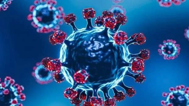 عوض تاج الدين يعلن خبرًا مفاجئًا عن سلالة كورونا الجديدة التي ظهرت في 22 دولة | فيديو عوض تاج الدين يعلن خبرًا مفاجئًا عن سلالة كورونا الجديدة التي ظهرت في 22 دولة | فيديو