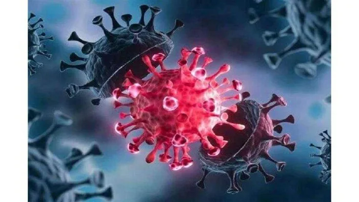 عوض تاج الدين يكشف عن مفاجأة تتعلق بمتحور كورونا الجديد الذي ظهر في 22 دولة | فيديو