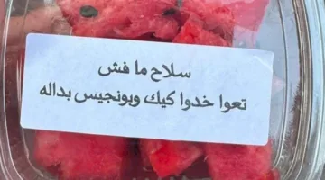 هل سيتخلى حزب الله عن ترسانته؟ آراء لبنانية تُظهر انقسامًا واضحًا