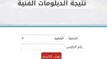 رابط الحصول على نتيجة الدبلومات الفنية 2025 برقم الجلوس: خطوات الاستعلام ومتابعة تنسيق الجامعات