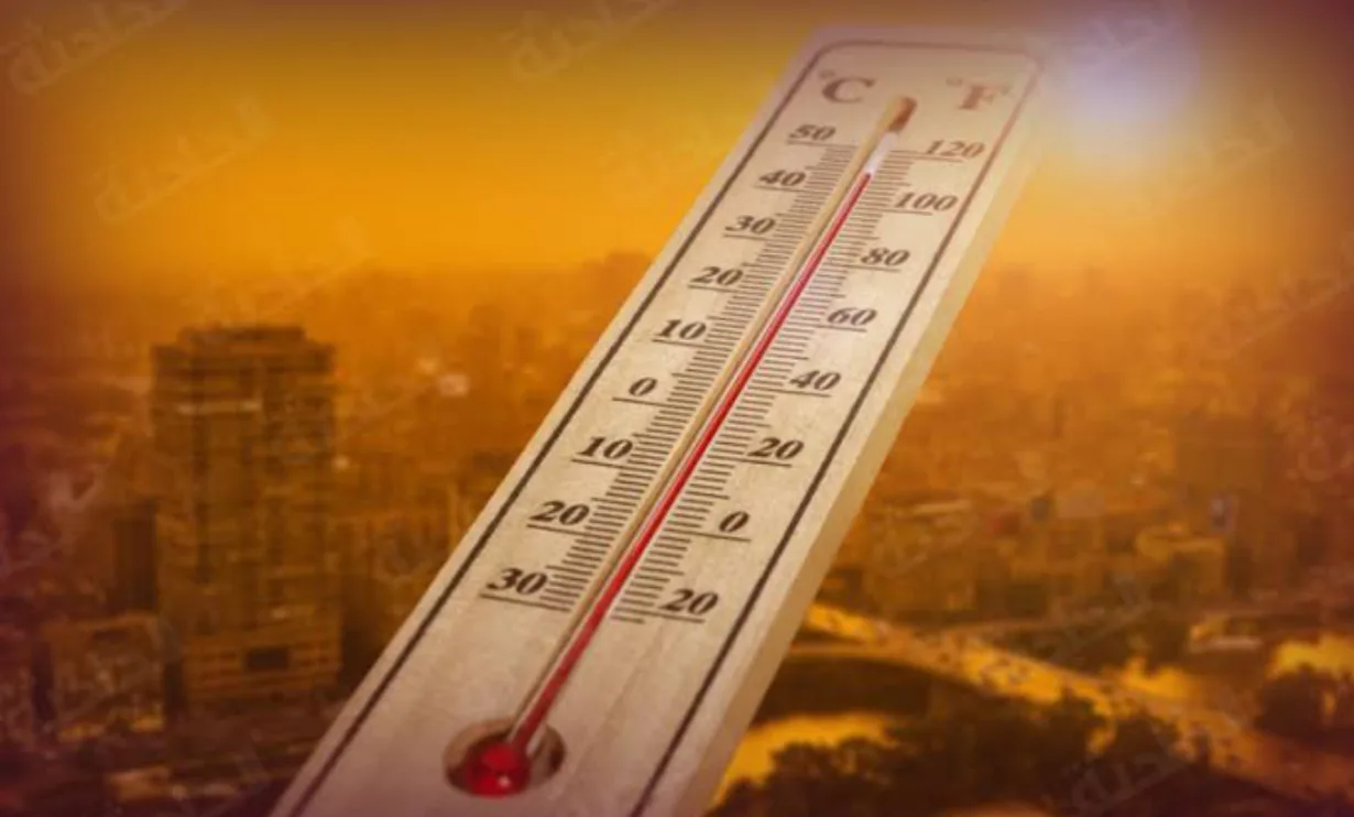 هل تفضل البقاء في المنزل اليوم؟.. الطقس يصل إلى ذروته وتحذير من ضعف الرؤية