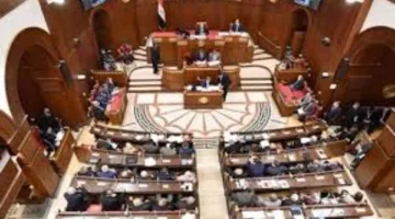 قبل الاقتراع في انتخابات مجلس الشيوخ.. النواب الجدد مطالبون بأداء واجبات محددة وفقاً للقانون.