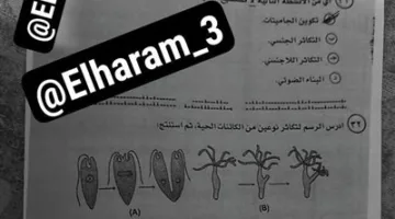 تفاصيل تسريب امتحان الأحياء للثانوية العامة 2025.. وزارة التعليم توضح