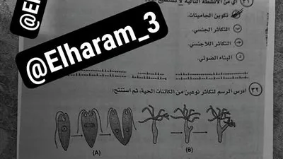 تفاصيل تسريب امتحان الأحياء للثانوية العامة 2025.. وزارة التعليم توضح تفاصيل تسريب امتحان الأحياء للثانوية العامة 2025.. وزارة التعليم توضح