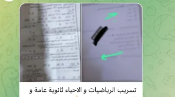 مجموعات الغش تدعي تسريب امتحانات “الأحياء والرياضيات” قبل توزيعها في لجان الثانوية العامة… ووزارة التعليم تنفي ذلك.