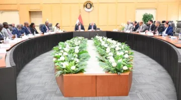 كامل الوزير: تعليمات رئاسية لتعزيز التعاون مع الدول الأفريقية، خصوصاً الكونغو