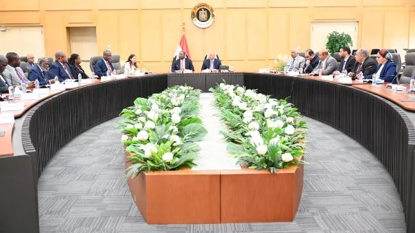 كامل الوزير: تعليمات رئاسية لتعزيز التعاون مع الدول الأفريقية، خصوصاً الكونغو