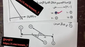 نموذج إجابة امتحان الرياضيات التطبيقية للصف الثالث الثانوي 2025