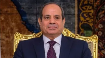 الرئيس السيسي: الحكومة تسعى لجذب استثمارات صينية إضافية في مجالات الطاقة المتجددة والسيارات الكهربائية