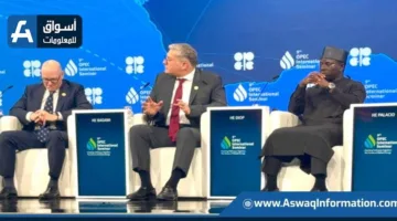 كريم بدوي: مصر تتصدر مشهد الطاقة في المنطقة من خلال شراكات عالمية