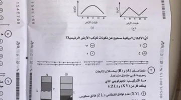 مستخدمي السوشيال ميديا يتحدثون عن صور امتحان الأحياء اليوم: التقطت في الحمام