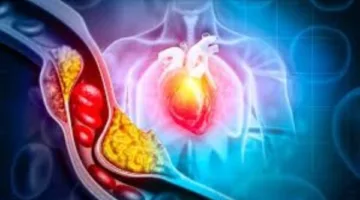 غير المعتاد.. أطعمة غير متوقعة تزيد من مستويات الكوليسترول