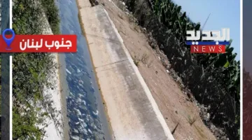 تلوث قناة ري القاسمية.. واتهام عمال من “الأونروا”؟ (فيديو)