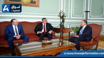 وزير الخارجية يلتقي وزير الإسكان لمناقشة تعزيز العلاقات مع أفريقيا