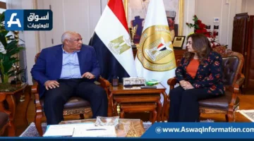 وزيرة التنمية المحلية تبحث مع محافظ الوادي الجديد آخر التطورات بشأن إنشاء مركز الحرير