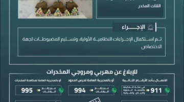 حرس الحدود في عسير ينجح في إحباط تهريب 140 كيلوغرامًا من نبات القات المخدر