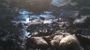 إخماد حريق في مصنع لمنتجات غذائية للأطفال في بنها