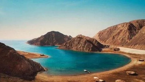 الذئب الذهبي: أحدث الاكتشافات في محمية نبق | معلومات بيئية هامة الذئب الذهبي: أحدث الاكتشافات في محمية نبق | معلومات بيئية هامة