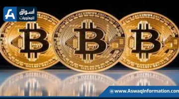 البيتكوين تصل إلى مستوى قياسي جديد يتجاوز 113 ألف دولار