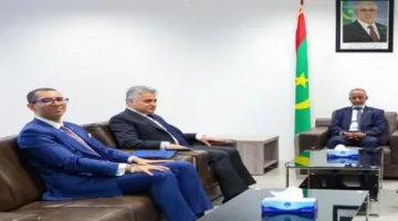 سفير مصر في نواكشوط يناقش مع وزير الصحة الموريتاني سبل تعزيز التعاون