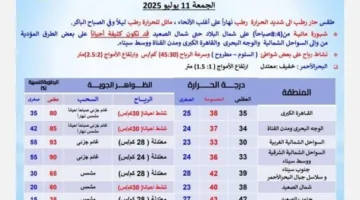درجات الحرارة في القاهرة 35° وأسوان 43°.. الأرصاد تعلن توقعات الطقس اليوم الجمعة 11 يوليو 2025