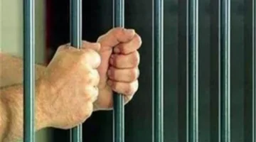 الحكم بالسجن 7 سنوات للمدانين بقتل شخص وإصابة اثنين آخرين في قليوب