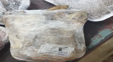حملة لمراقبة الأغذية بالبحيرة تضبط لحوم وسلع فاسدة داخل مطاعم معروفة في دمنهور