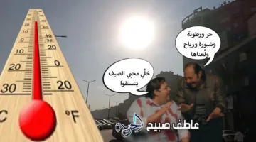 درجات الحرارة تصل إلى 43.. تفاصيل الطقس وحالة المناخ يوم الجمعة 11 يوليو 2025