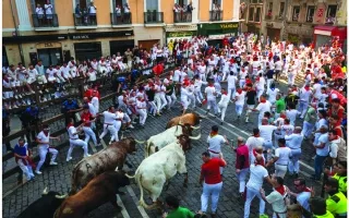 مهرجان سان فيرمين: التاريخ يجري مع الثيران