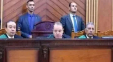 جلسة المرافعة لإعادة محاكمة 5 متهمين في قضية «الخلية الإعلامية» غدًا