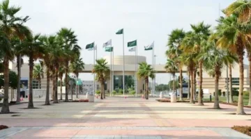 جامعة الإمام عبدالرحمن في السعودية توضح توفر وظائف شاغرة جديدة.. التفاصيل الكاملة.