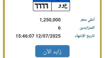 «تجاوزت عتبة المليون ونصف».. مزايدة مثيرة على لوحة سيارة فريدة