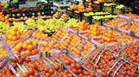 الحمضيات والبطاطس في المقدمة: زيادة صادرات المنتجات الزراعية إلى 5.8 مليون طن