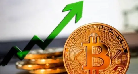 بيتكوين تحقق رقماً قياسياً جديداً وتتخطى 116 ألف دولار بدعم من المؤسسات وزخم سياسي في الولايات المتحدة